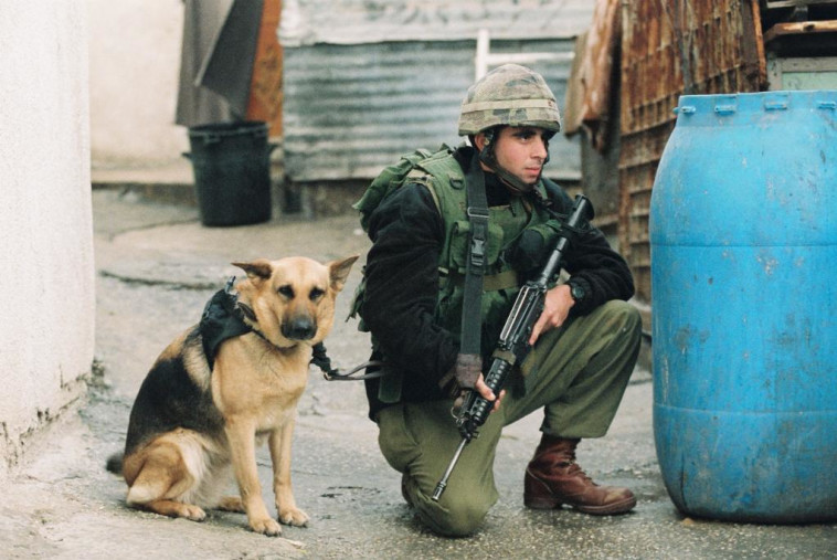 כוחות מיוחדים של צה''ל במבצע ''חומת מגן'', 2002 (צילום: דובר צה''ל)