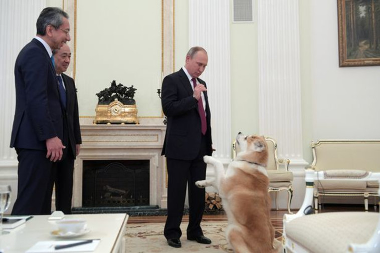 פוטין חובב כלבים (צילום: Getty images)