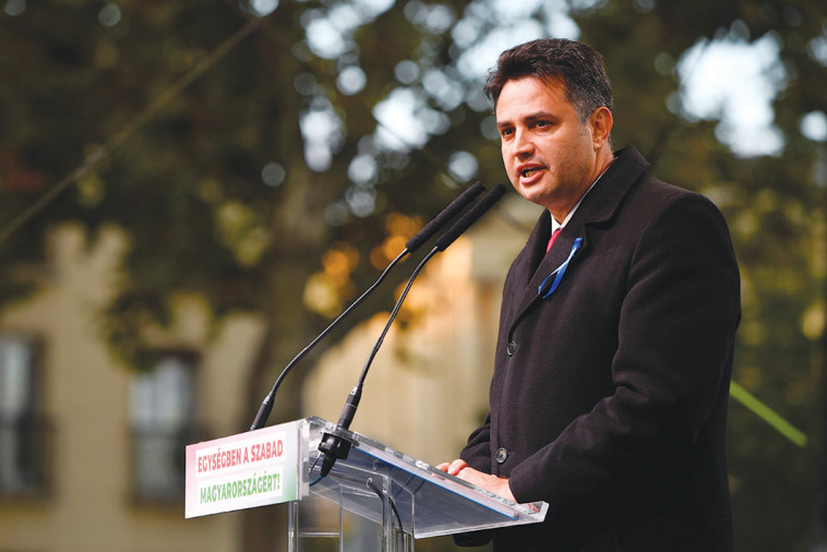 פיטר מקראי זיי