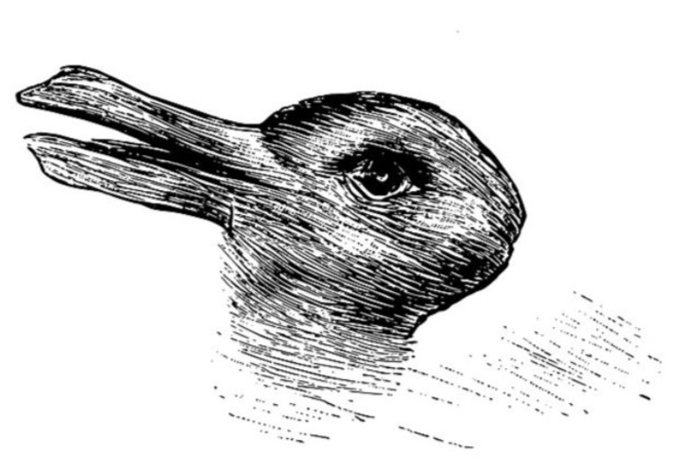 ארנב או ברווז?