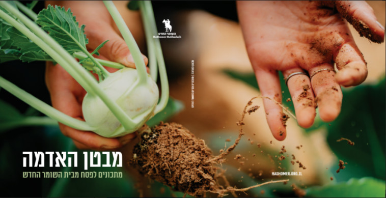 הספר ''מבטן האדמה''