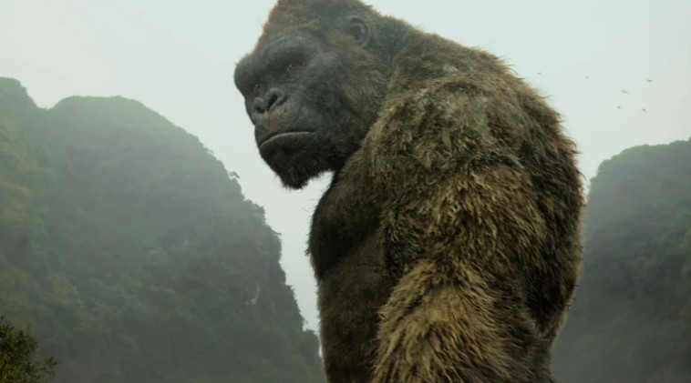''קונג: אי הגולגולת''