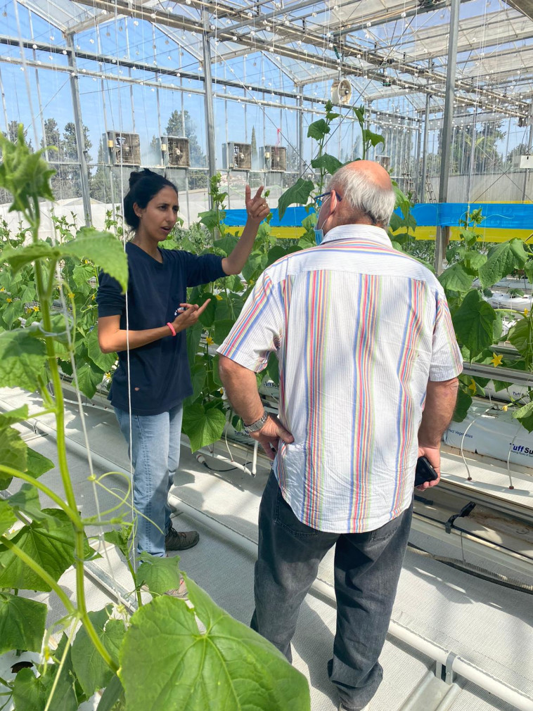 כרמל פורת, נטפים