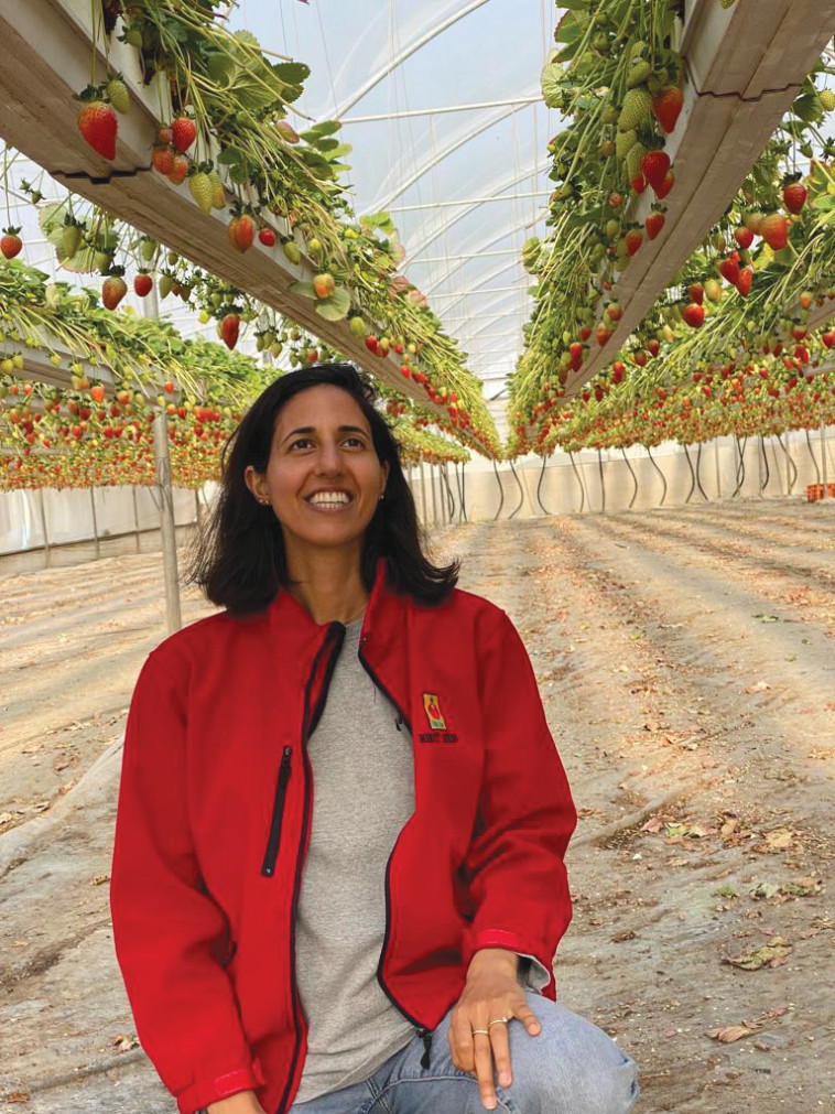 כרמל פורת, נטפים