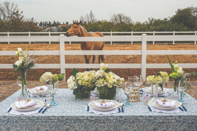 פיית השולחן