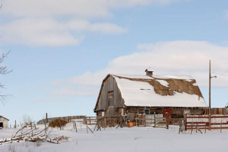 צריף המשמש למגורים