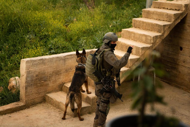 פעילות כוחות צה''ל ביהודה ושומרון