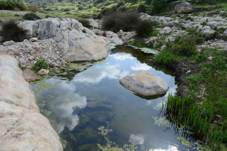 נחל קנה (צילום: תיירות שומרון)