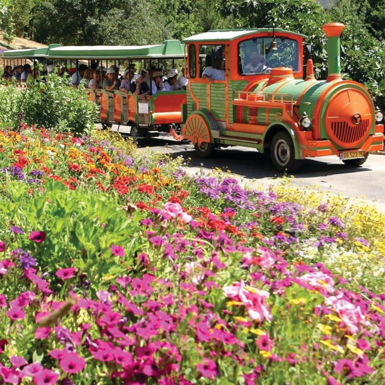 הגן הבוטני, גבעת רם, ירושלים