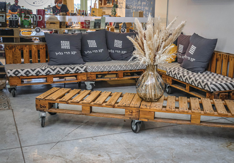 יקב הרי הגליל