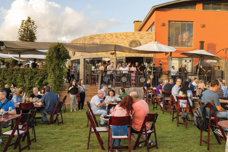 יקב אלכסנדר