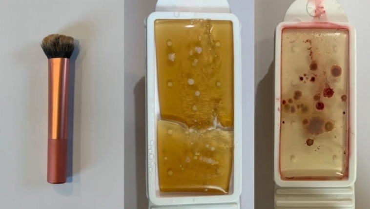 מברשת סומק מזוהמת