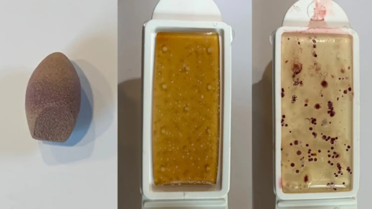 ספוגית מייקאפ מלאה חיידקים