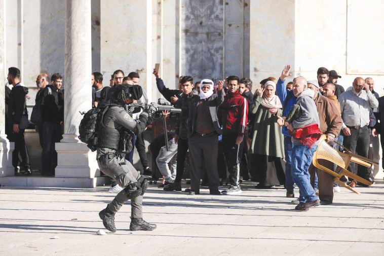 Clashes on Temple Mount (Photo: Reuters)