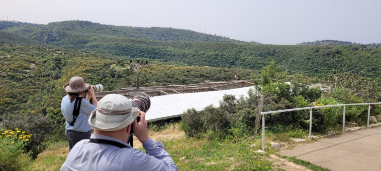 מטיילים בשמורת הטבע הר מירון