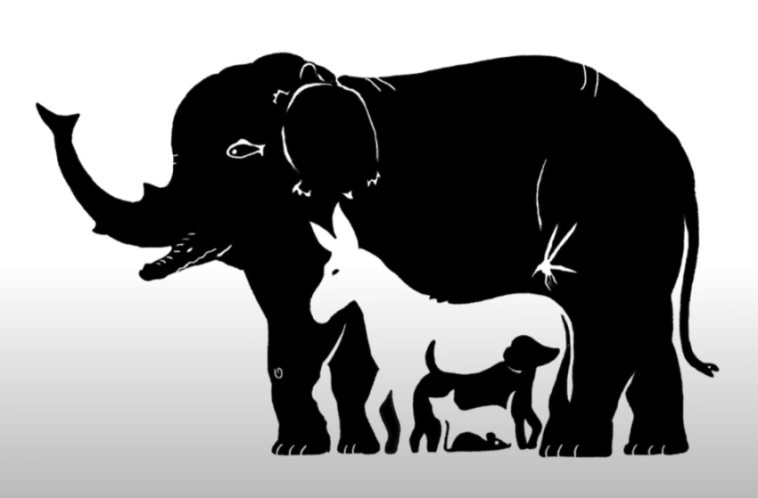 אשליה אופטית