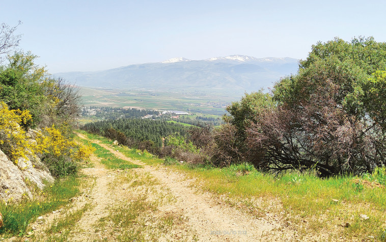 מעלה קורצ'אק