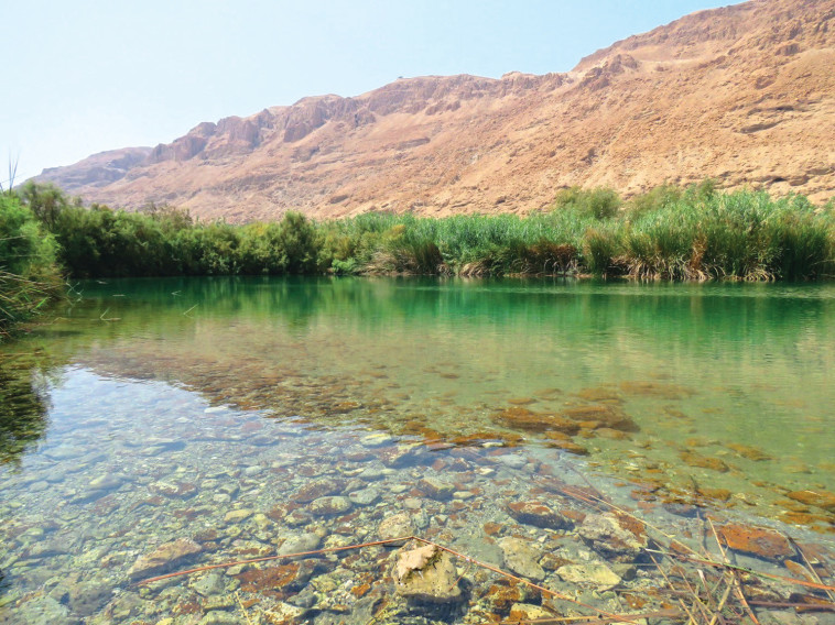 שמורת טבע עיינות צוקים