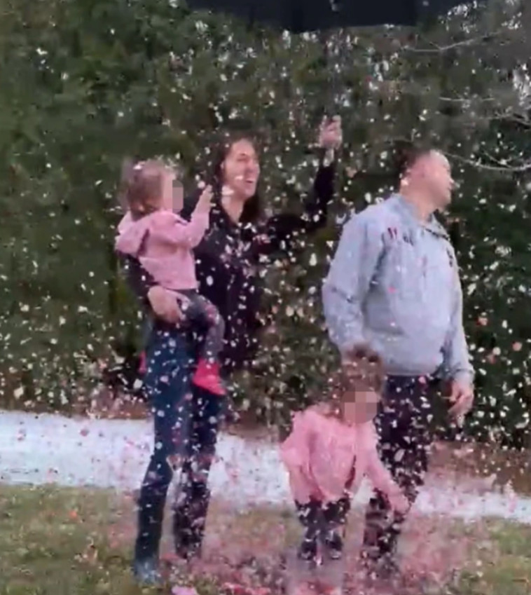 חשיפת מין העובר