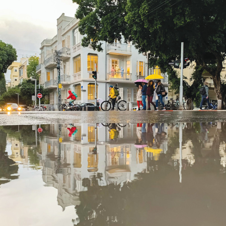 מתוך התערוכה של ''הצ'יף''