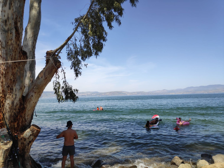 נופשים בחופי הכנרת