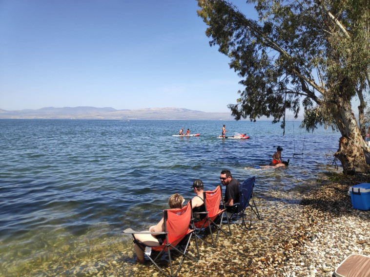 נופשים בחופי הכנרת