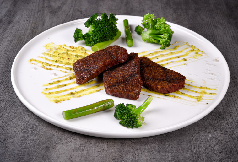 בשר ממוצרים מין החי של רידיפיין מיט