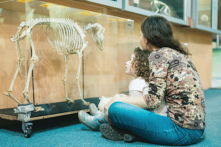 מוזיאון האדם והחי