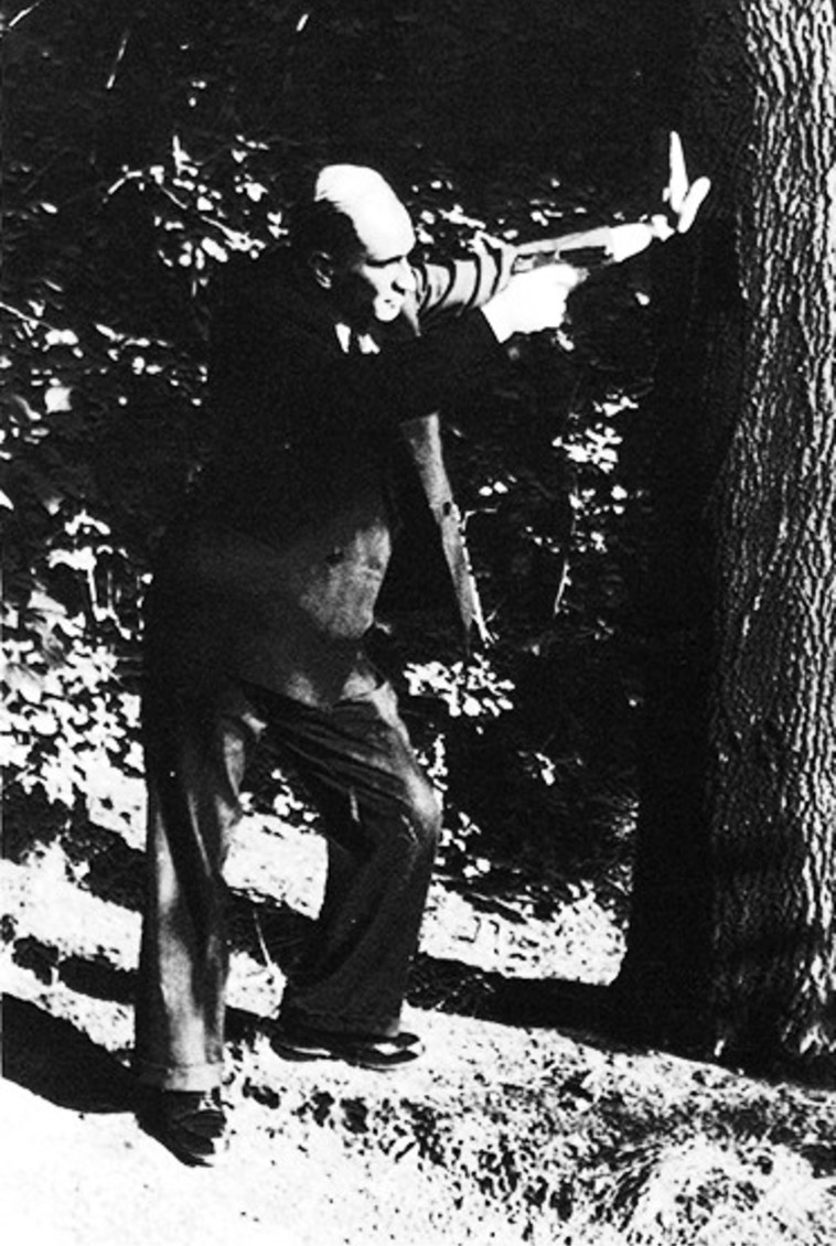 אלכסנדר קוץ