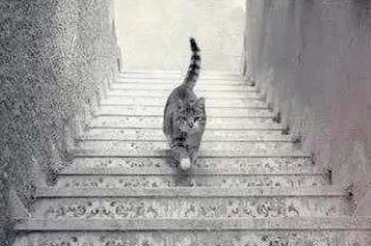 אשליה אופטית