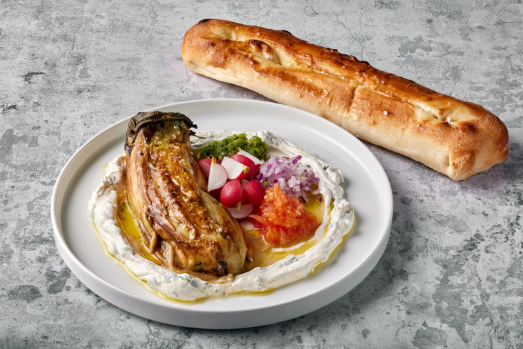 מנת חציל לאבנה של רשת קפה גרג