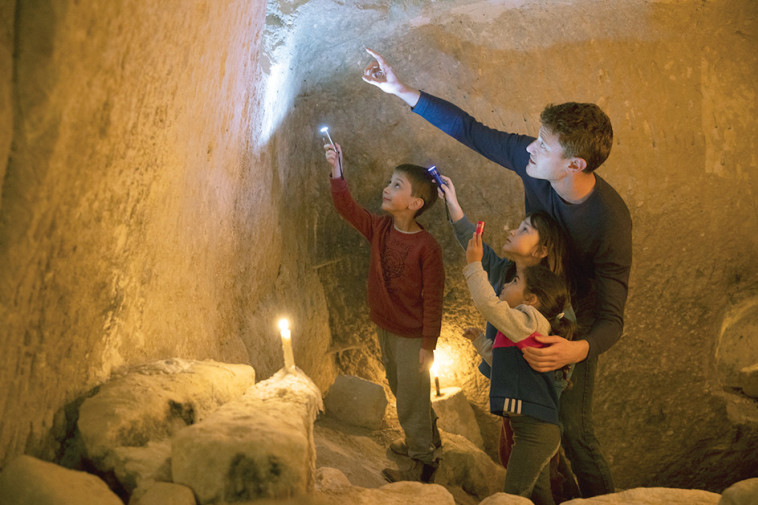 ארכיאולוג ליום אחד