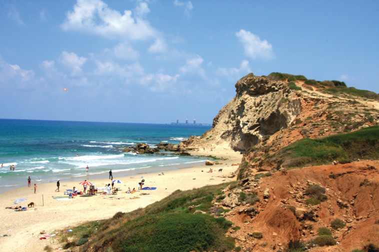 חוף ותל גדור 