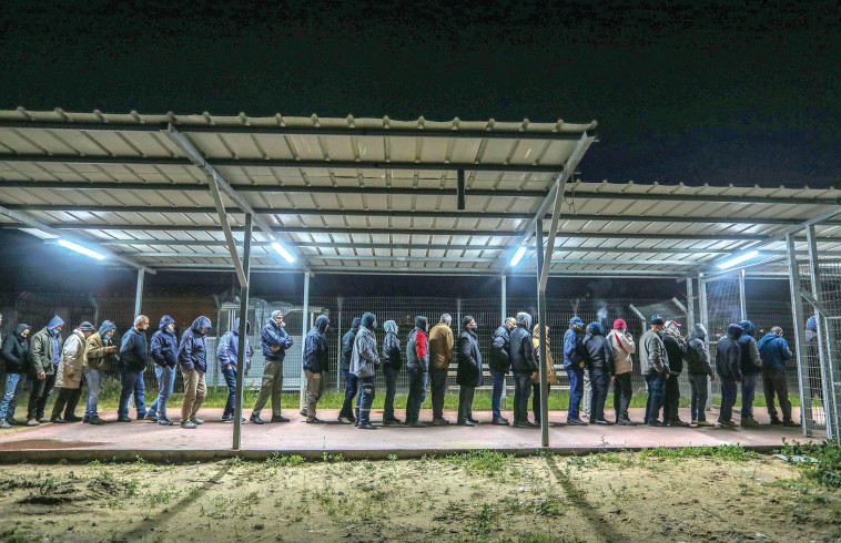 פועלים פלסטינים נכנסים לארץ