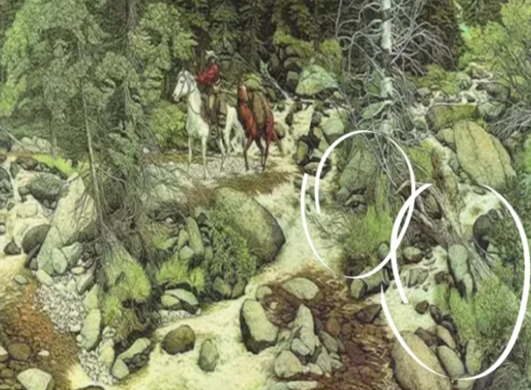 שתי פנים נוספות