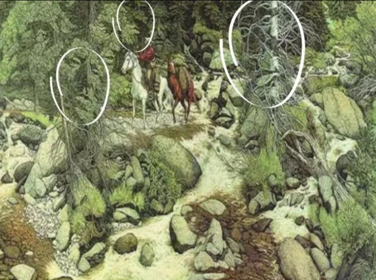 הפרצופים הסמויים, שהצופים התקשו למצוא