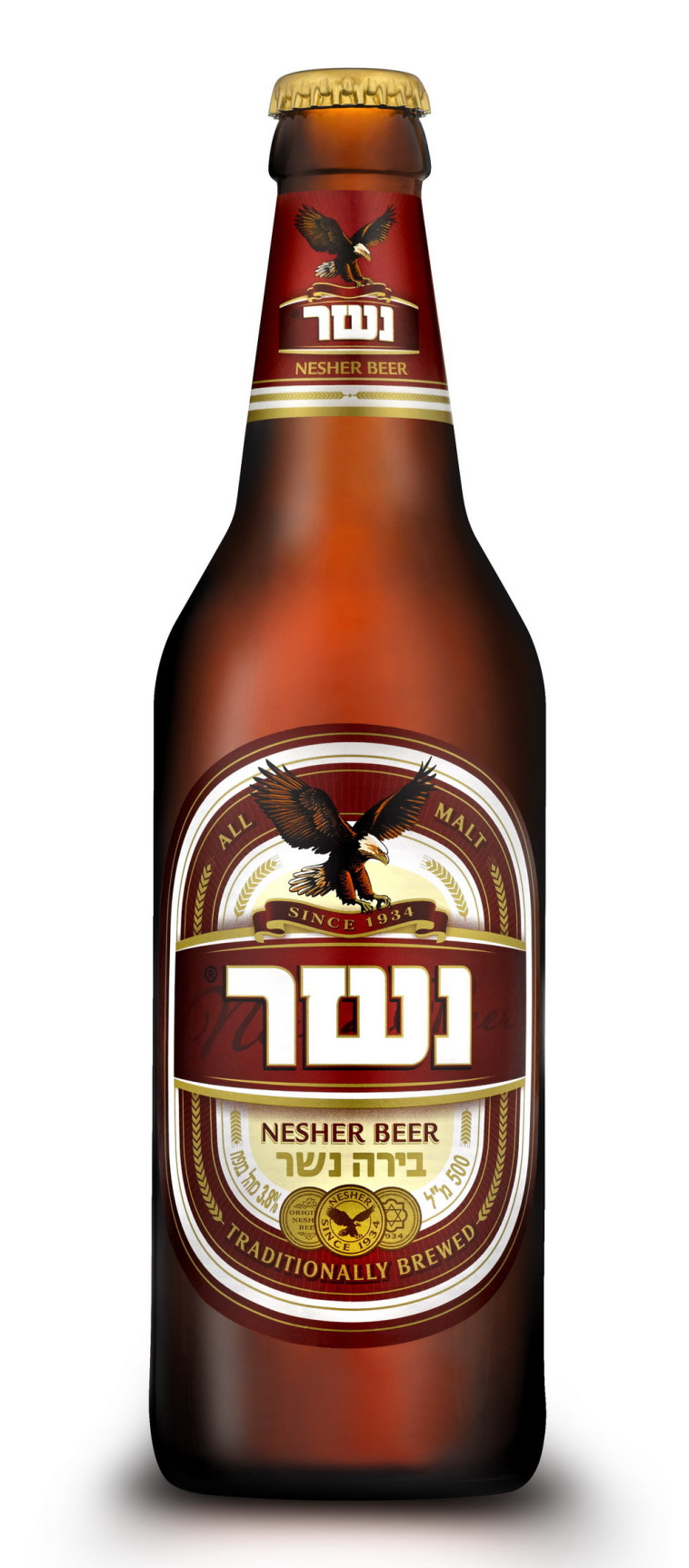 נשר לבן 