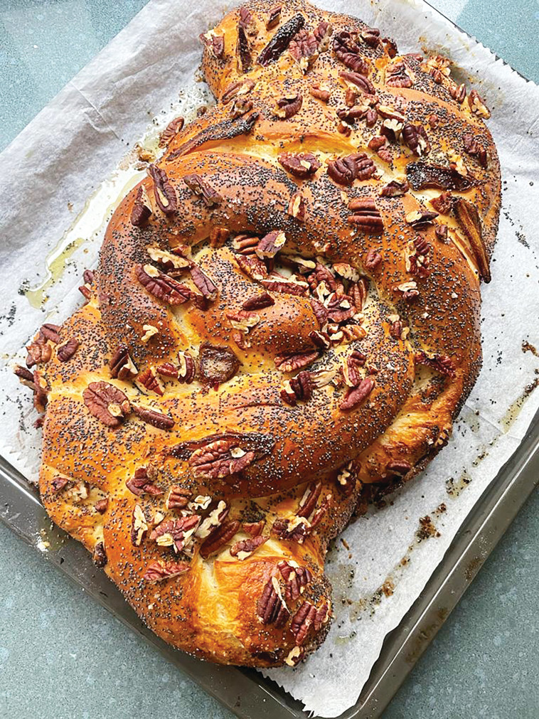 החלה של דניאל קיציס