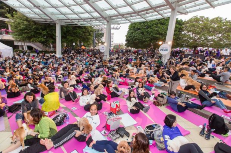 שיעור היוגה לכלבים עם הרבה משתתפים