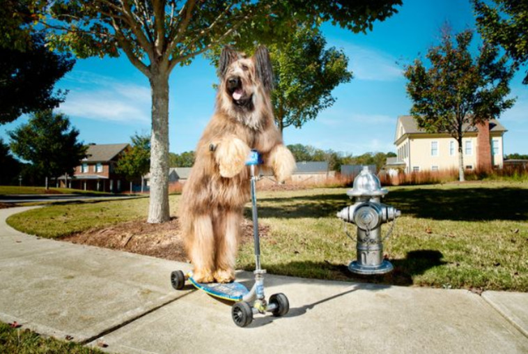 הרכיבה הכי מהירה על קורקינט