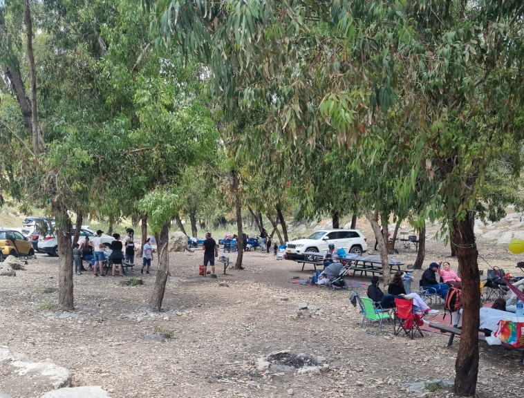 מטיילים ביערות בעצמאות