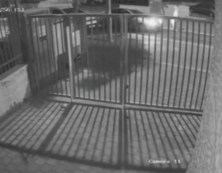 הפיגוע באלעד. המחבלים נמלטים מהזירה