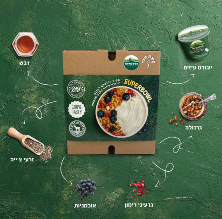 ''משק צוריאל''