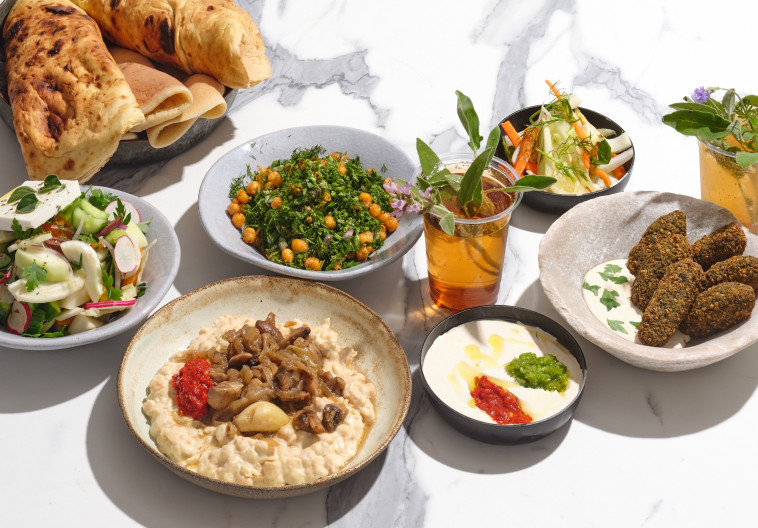 בלאדי שיק חומוס של ארז קומורובסקי