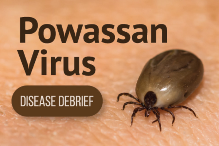 נגיף הנילוס המערבי חזר לתמונה