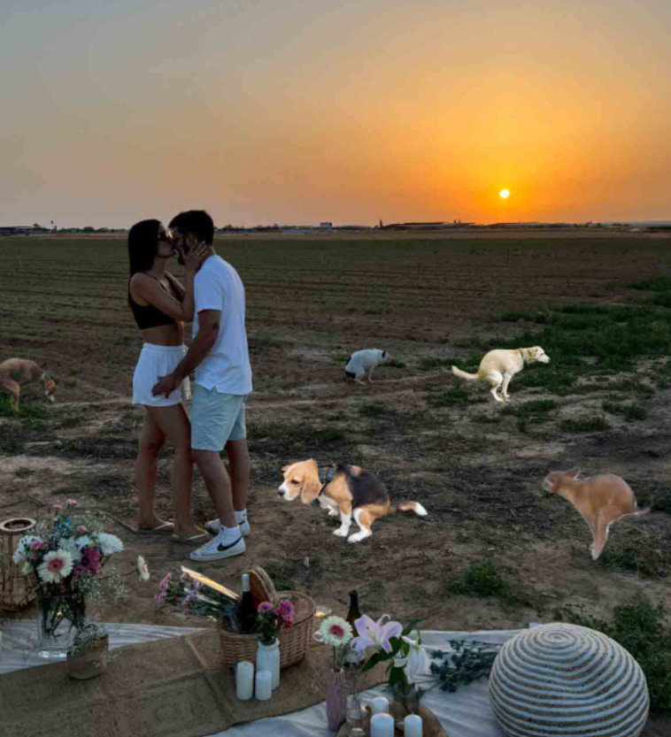 הגיעה שעת ההחראה