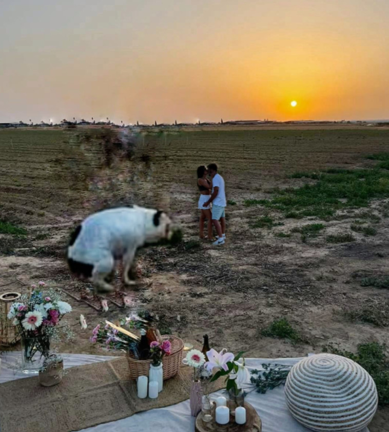 לא יפה שהם מפריעים לכלב לעשות את צרכיו