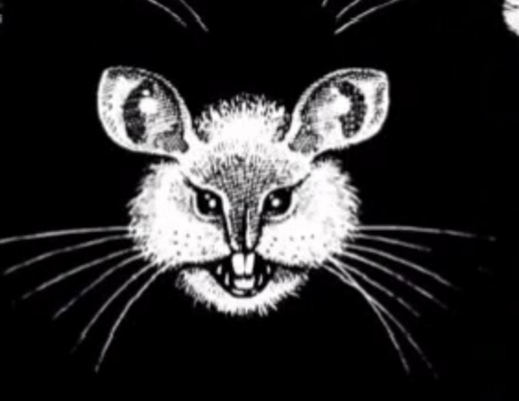 העכבר, אתם אנשים אופטימיים