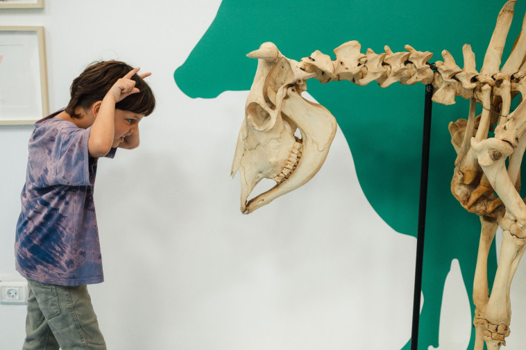 מוזיאון האדם והחי ברמת גן