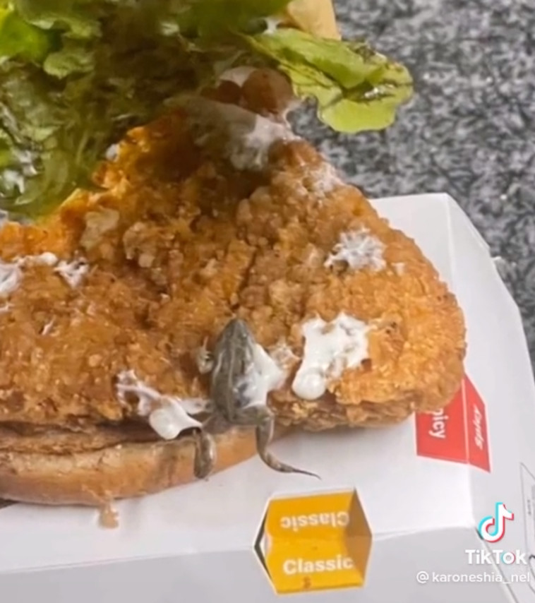 צפרדע מתה בתוך הכריך של מקדונלד'ס